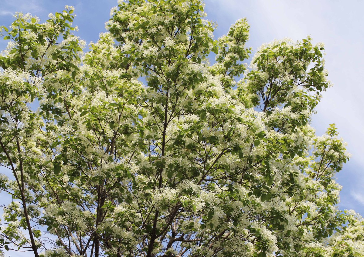 片柳弘史 tweet media