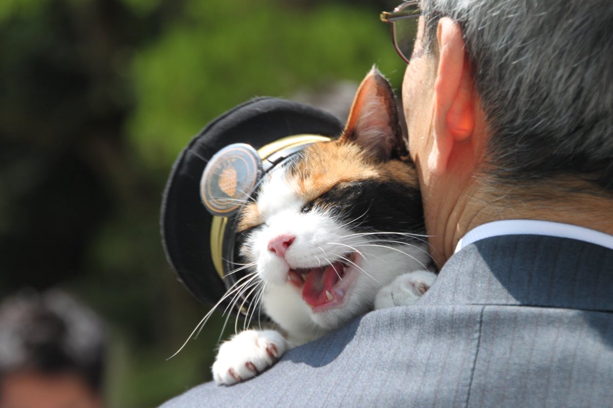 駅長たま tweet media