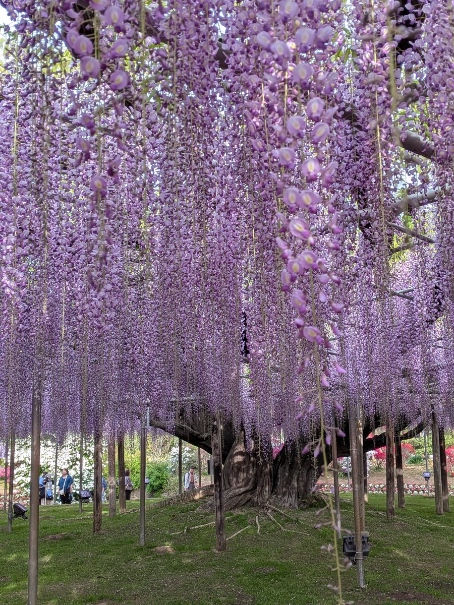 あきちゃん tweet media