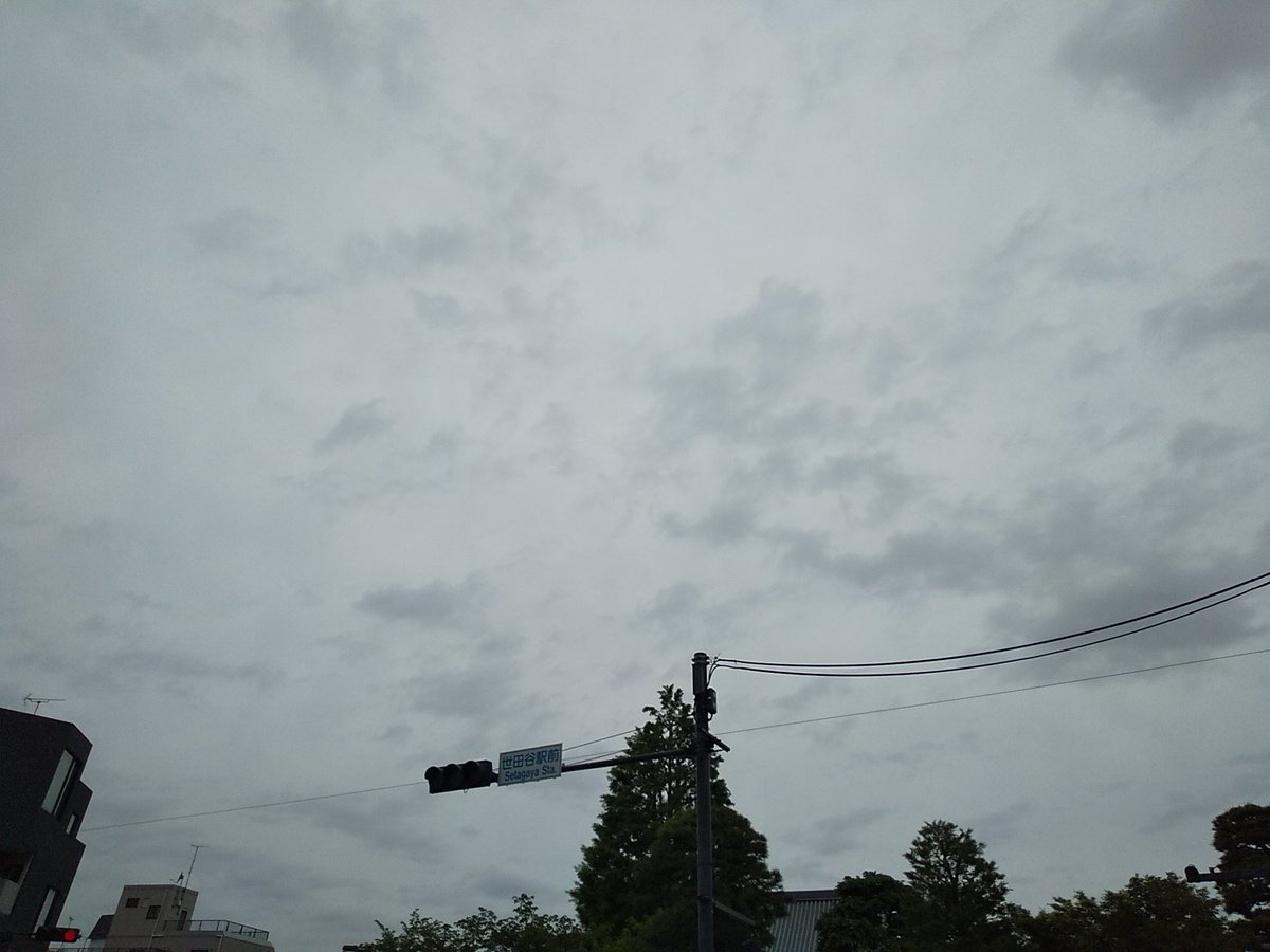 ysb_'s tweet image. 木曜日～

曇り空～

ちょい温暖～

本日も楽しくなりそうれす～

20260423～

 #世田谷 #世田谷区 #setagaya