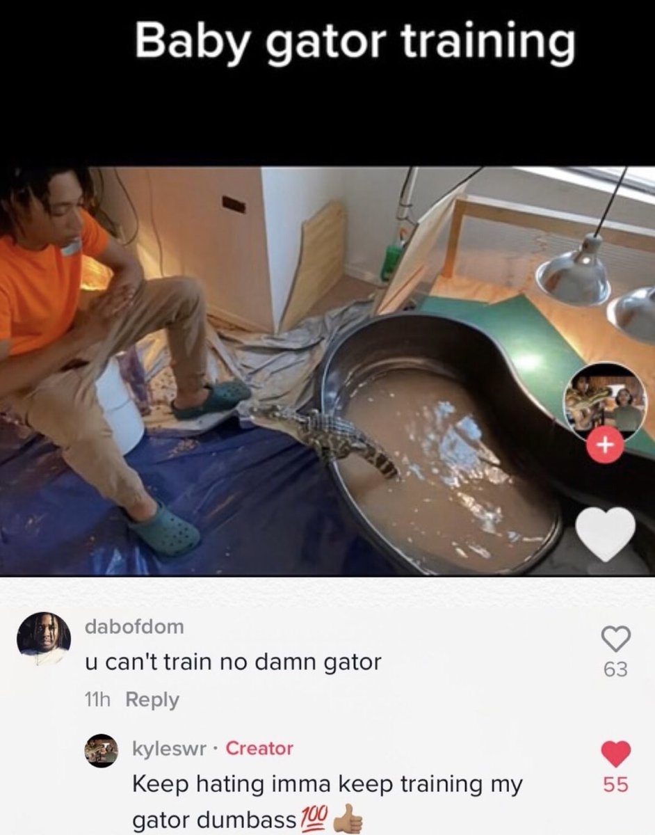 Images AI Could Never Recreate tweet media