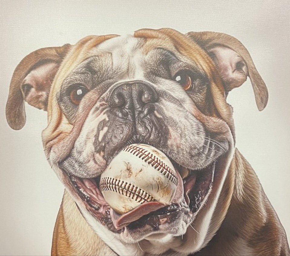 MaleBulldogs's tweet image. 🟪🟨⚾️…Congrats to BASEBALL DAWGS on 4–1 WIN over Collins 😈

#DawgLife