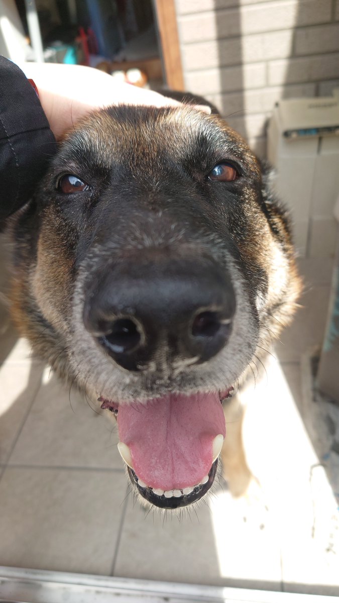 🅼🅰🆁🆂🅷🅰🅻 tweet media