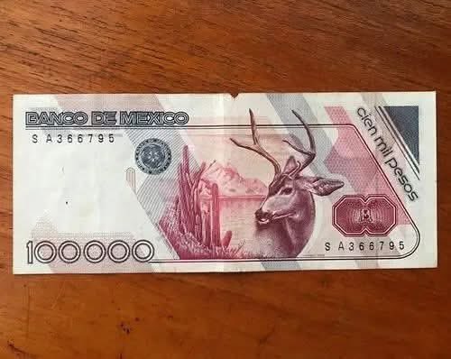 El Franky  tweet media