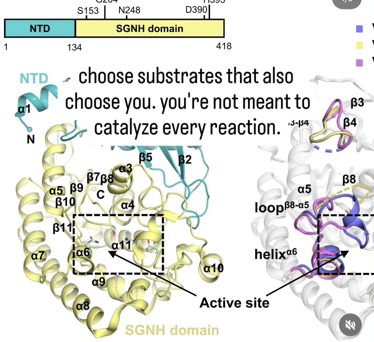 naryuwife's tweet image. #truth #quote #deep