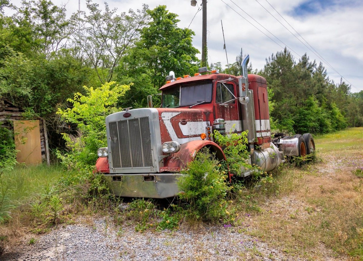 The Dirty Old Trucker tweet media