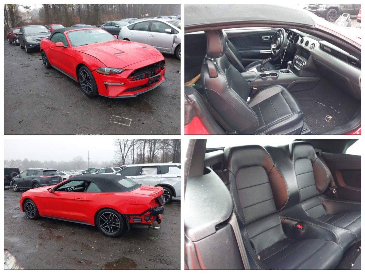 Auction Export tweet media