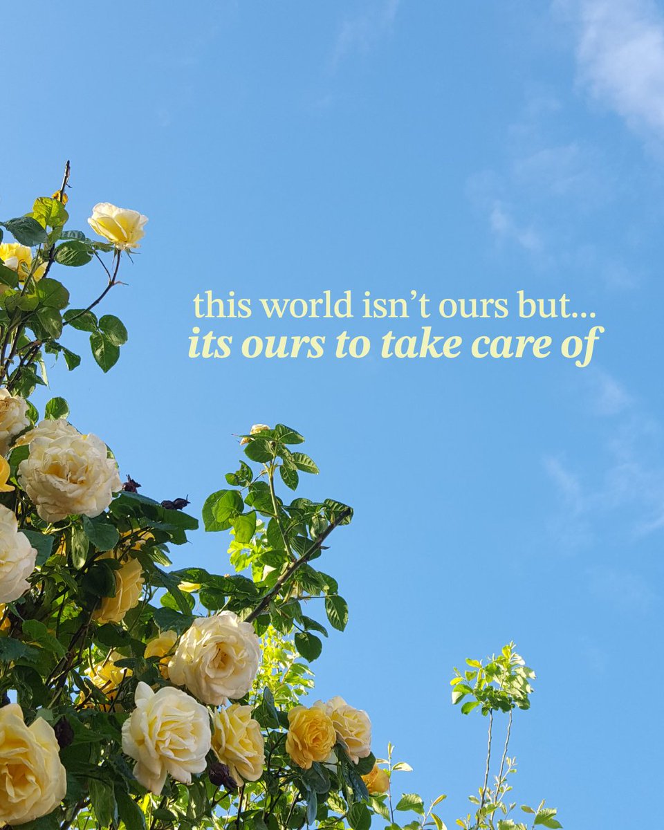 Abide App tweet media