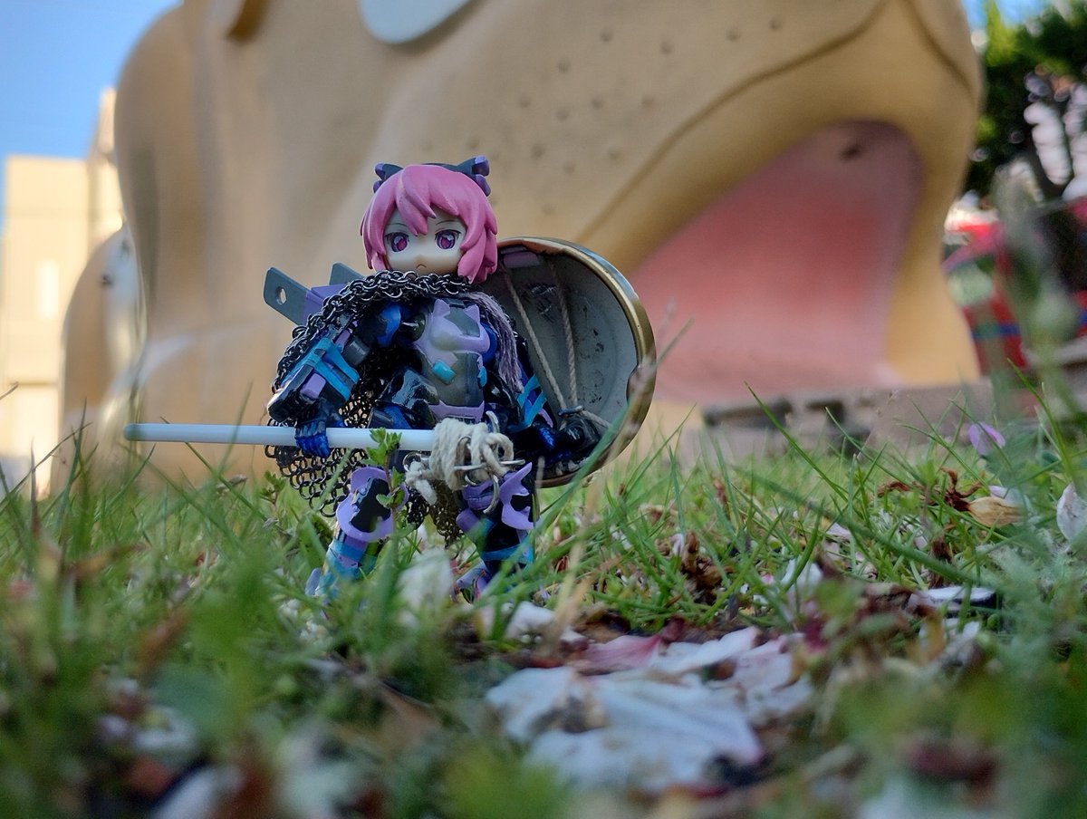 独楽(Koma) tweet media