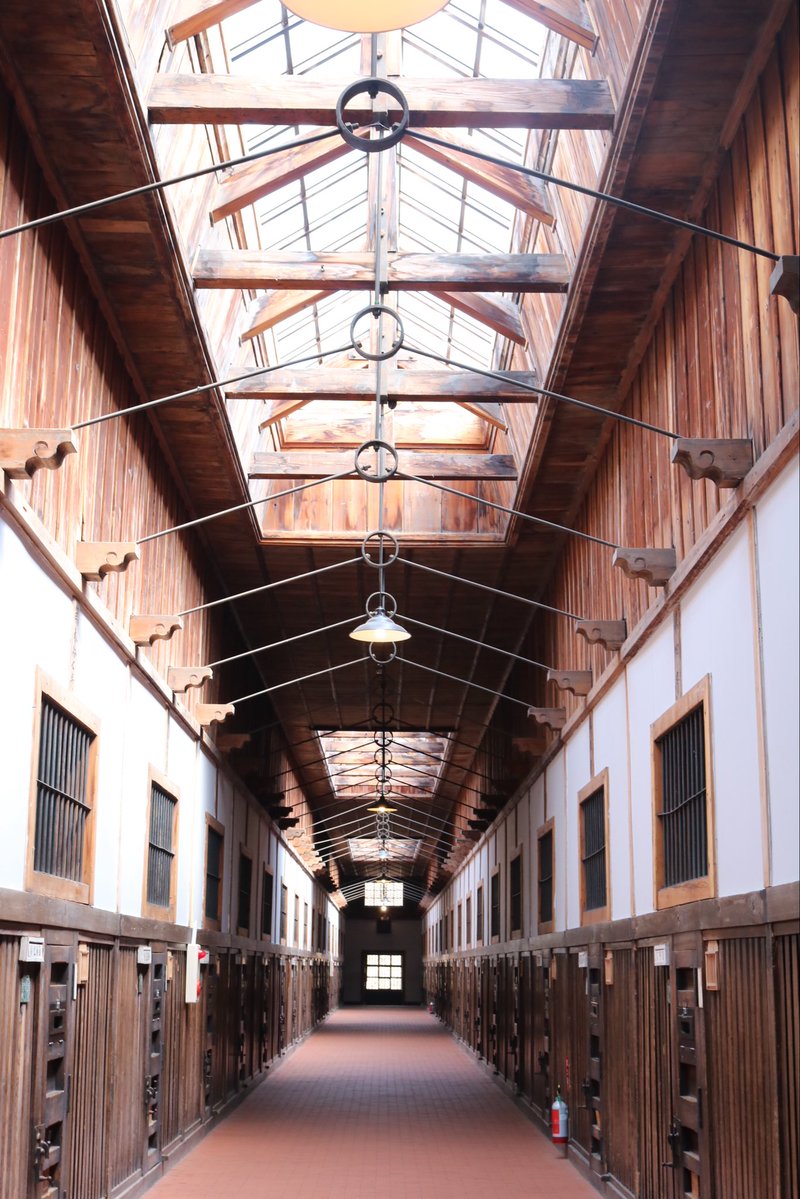 ちゃぼ。 tweet media