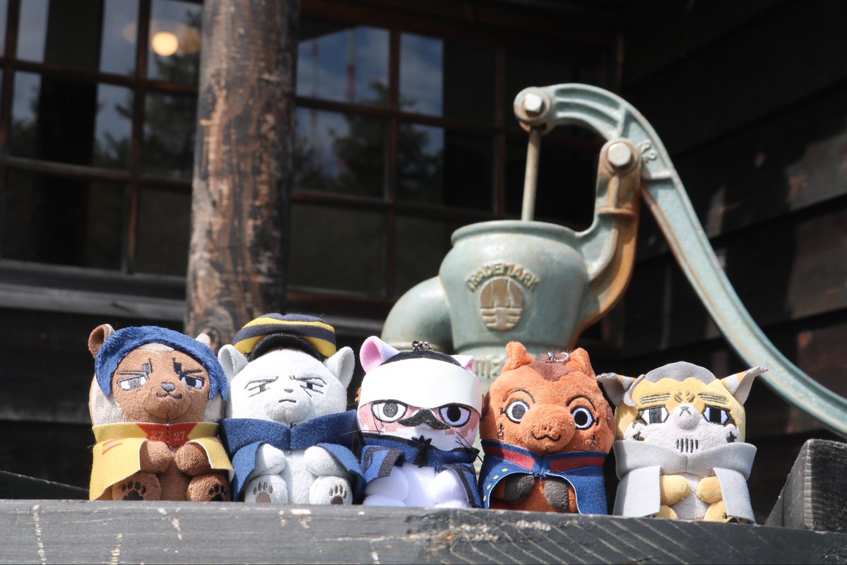 ちゃぼ。 tweet media