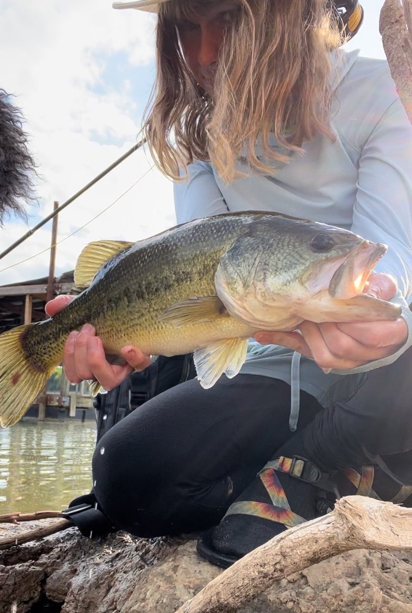Femgirl Fishing🏳️‍⚧️🎣 tweet media