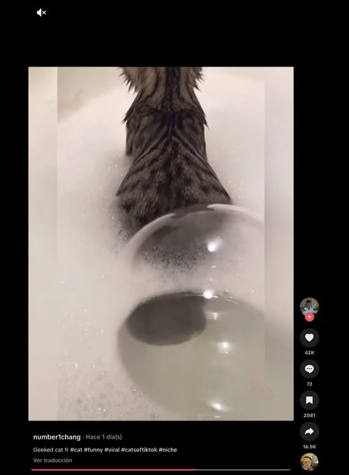 Chad General🎖 tweet media