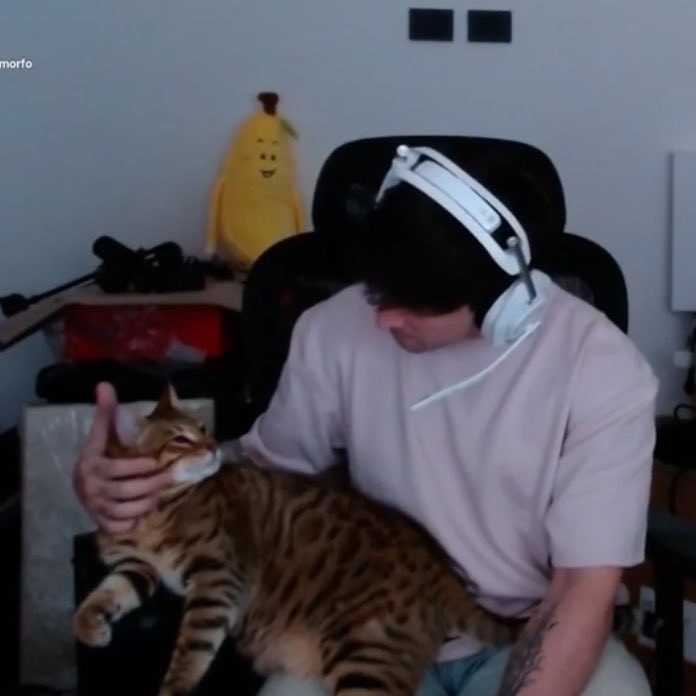 antitu 🧸 tweet media