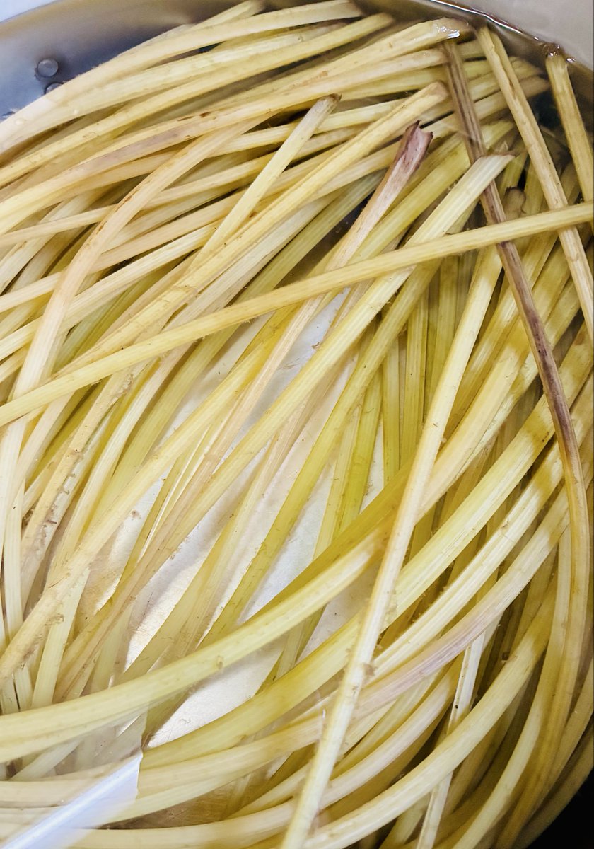 加西市の酒屋 (株)コタニ 看板犬黒柴 くん tweet media