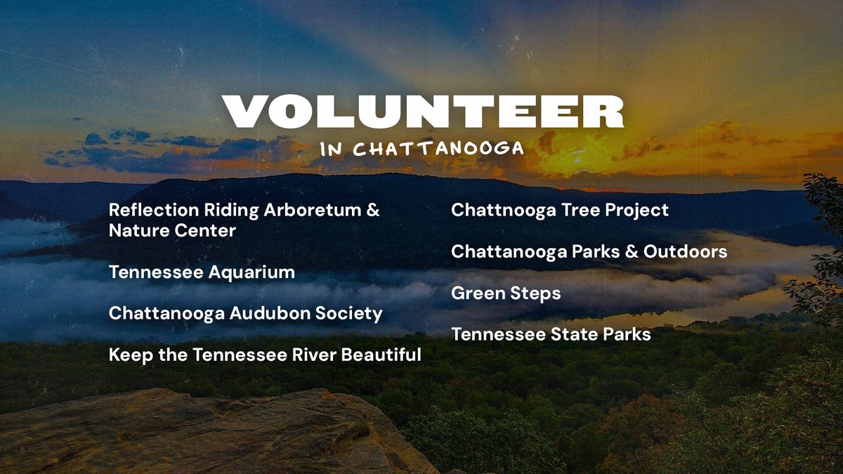 Tennessee Vacation tweet media