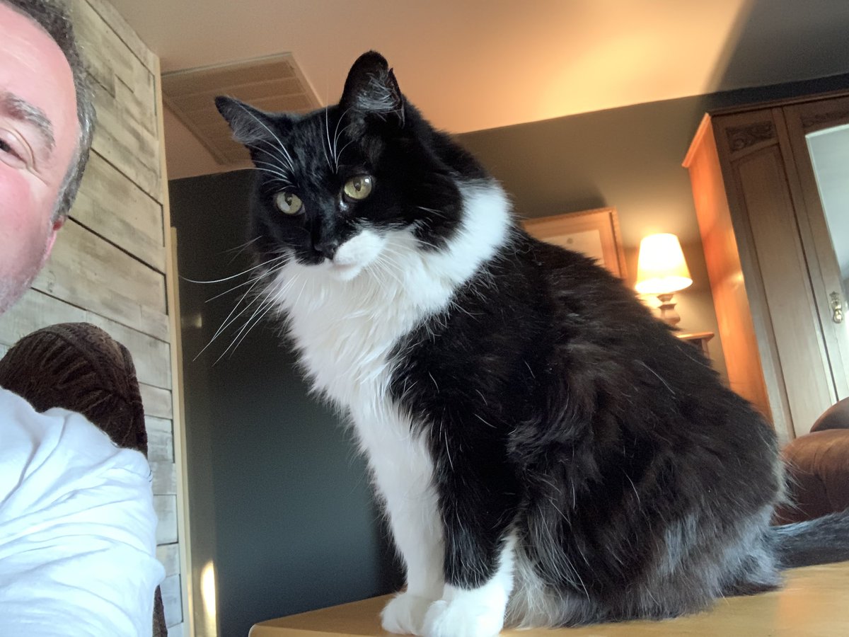 Dave Kinder tweet media