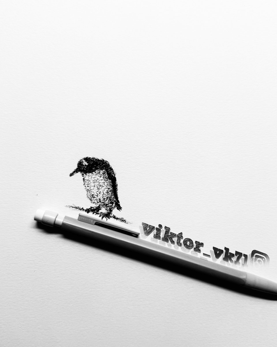 ViktorVK71's tweet image. № 1327 ✍️ 🐧 haystack [part 1207] #penguin #drawing #sketch video