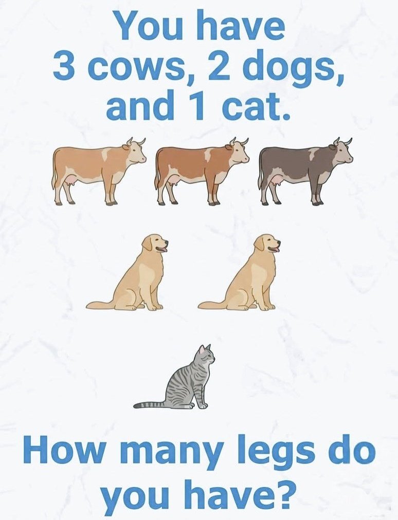 Mishi Vibes 🇺🇲 tweet media