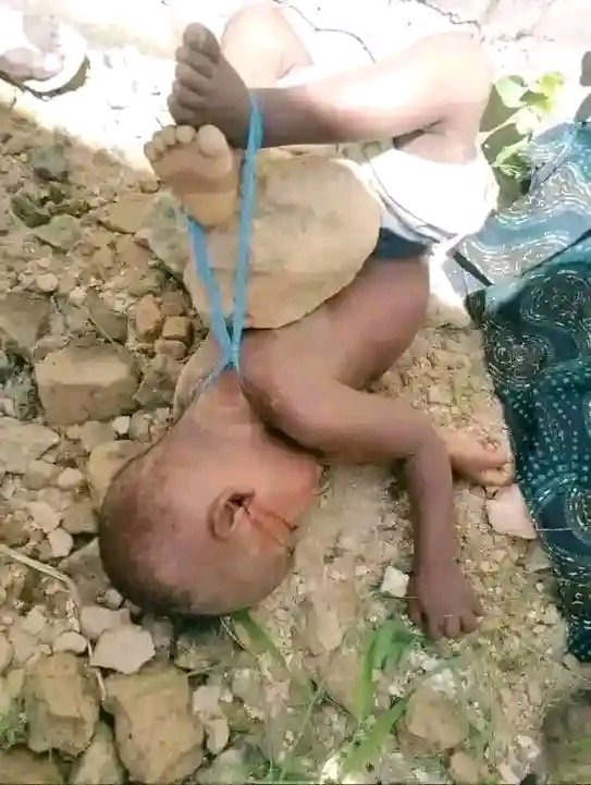 uoHillary tweet media