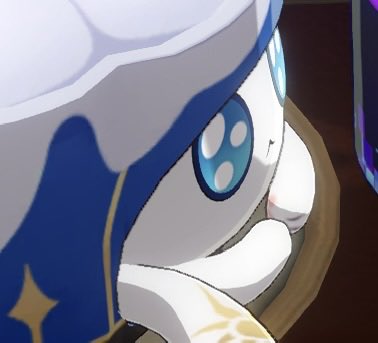 🐨🦦 tweet media