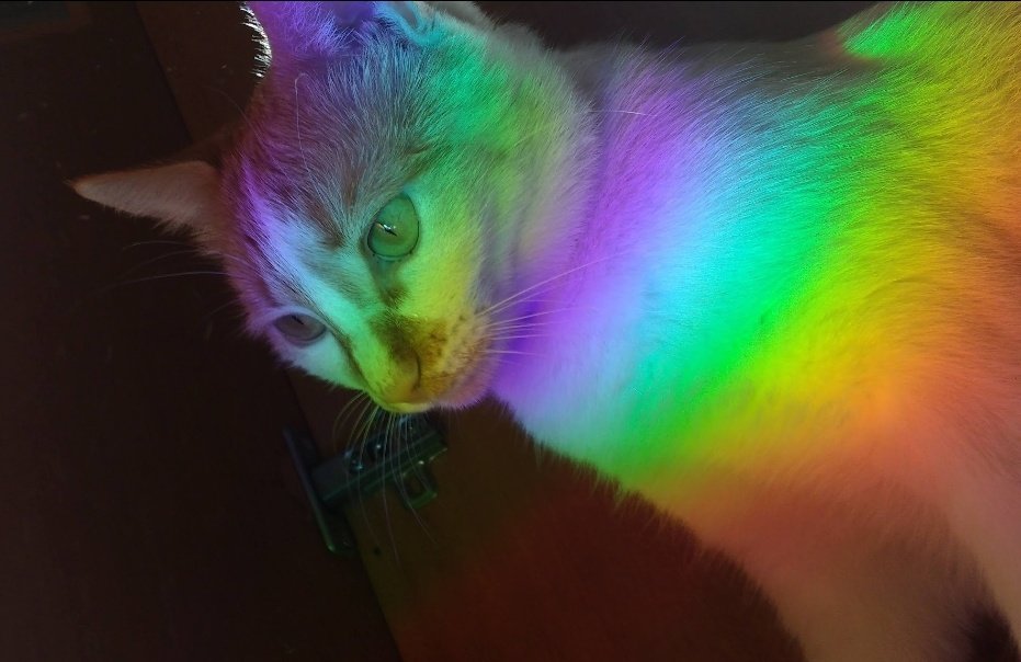 ‧₊˚ ⋅* ‧₊✮‧₊˚ ⋅* ‧₊ tweet media