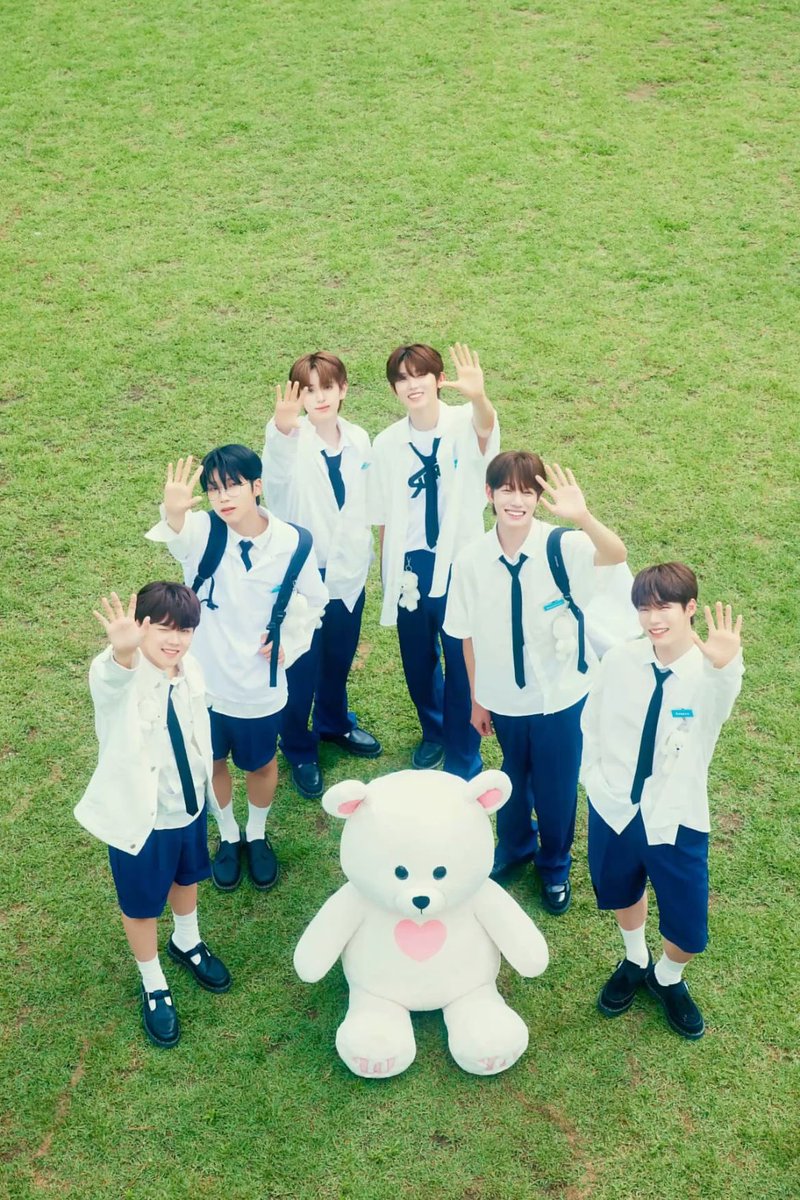 마루🐑ིྀ tweet media