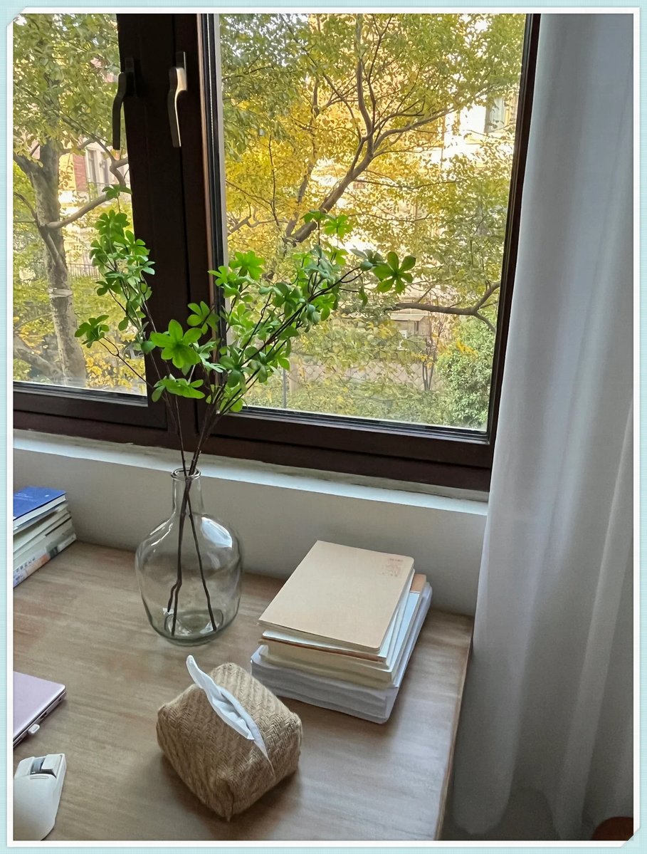 Jade Seibert tweet media