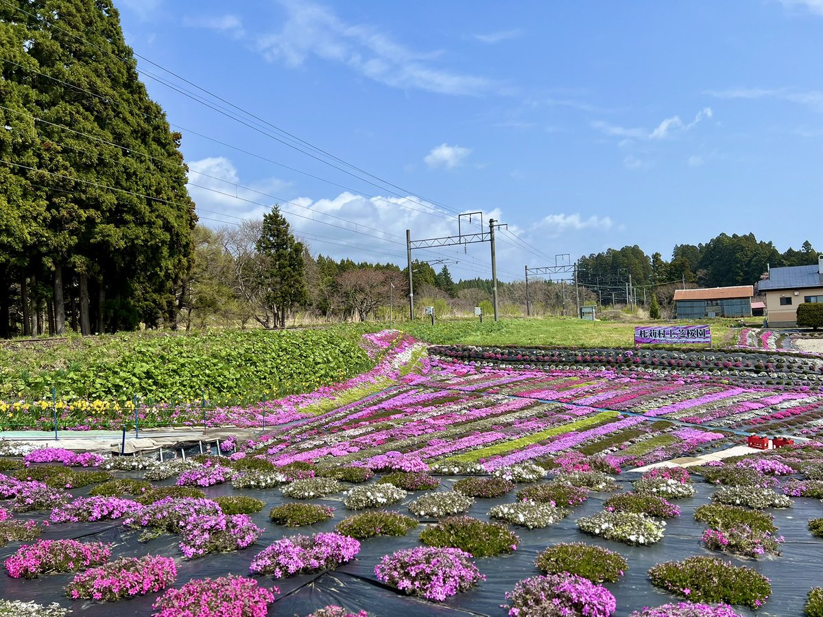 北海道木古内町観光協会 tweet media