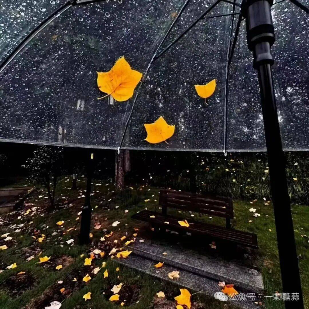 vincent mark tweet media