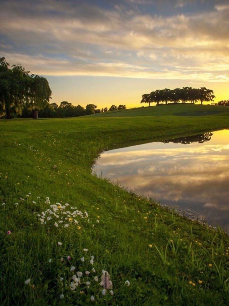 greenvibe's tweet image. Nature bathed in the last light of day — a perfect dance of silence and beauty.