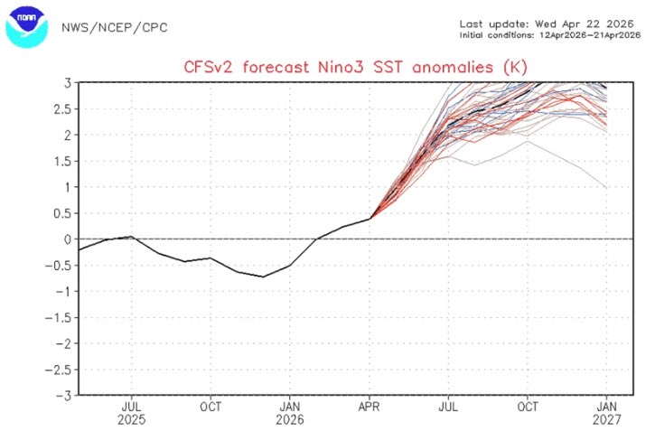 ᗰᕮTᕮO OᕼIGGIᑎS tweet media