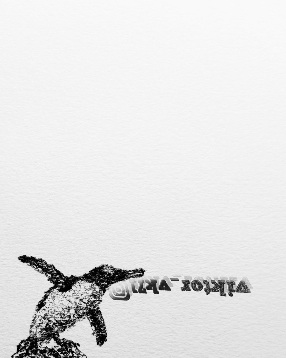 ViktorVK71's tweet image. № 1328 ✍️ 🐧 weeengz [part 1208] #penguin #drawing #sketch