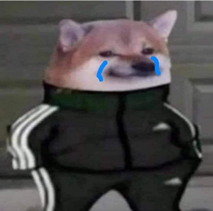 ziento kelo obligo i es komo wtf ez tu desision porke me comporto komo un hombre en los 50's pegándole a su mujer