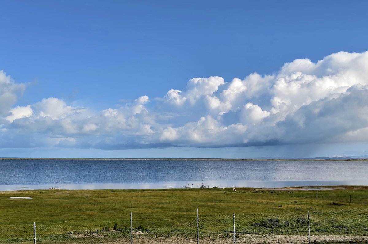 Karolina Majorowska tweet media