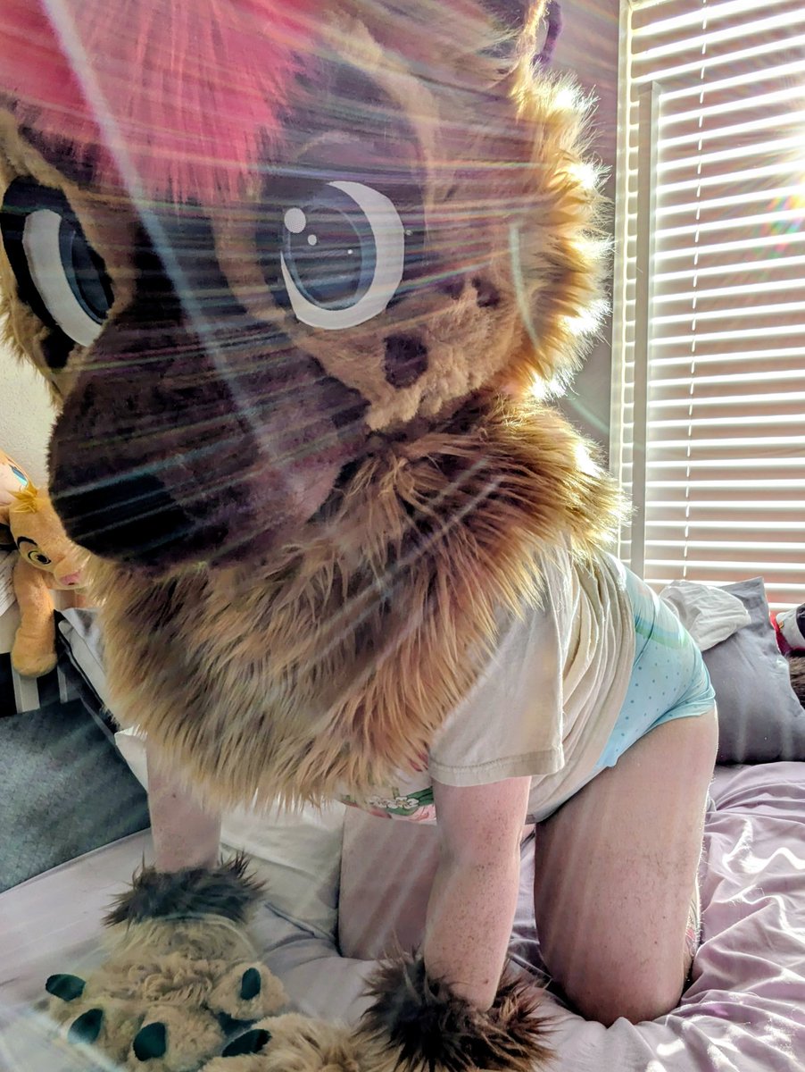 Tyler 🐾 ➡️Denfur,BFC tweet media