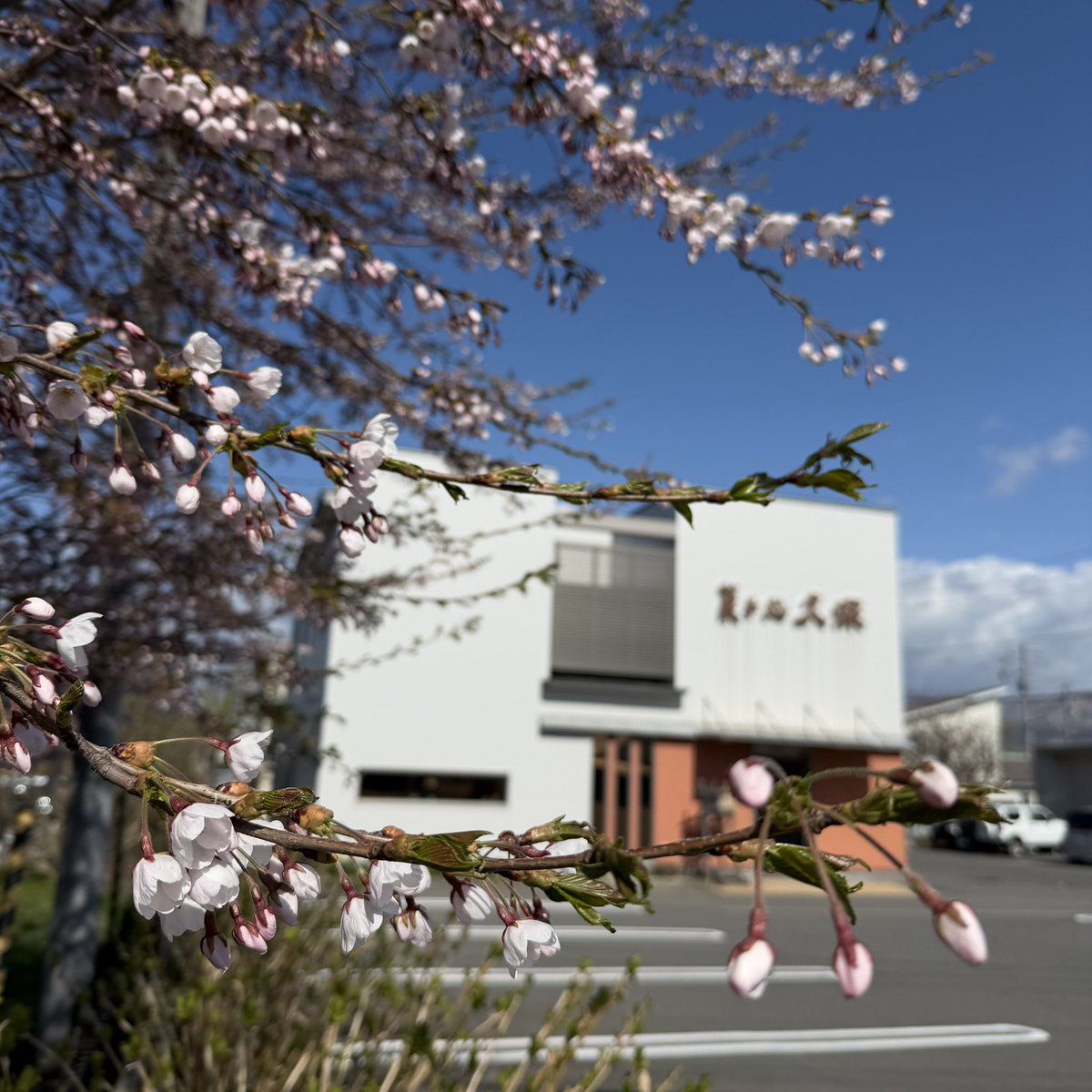 久保武士@菓子処久保@北海道 tweet media