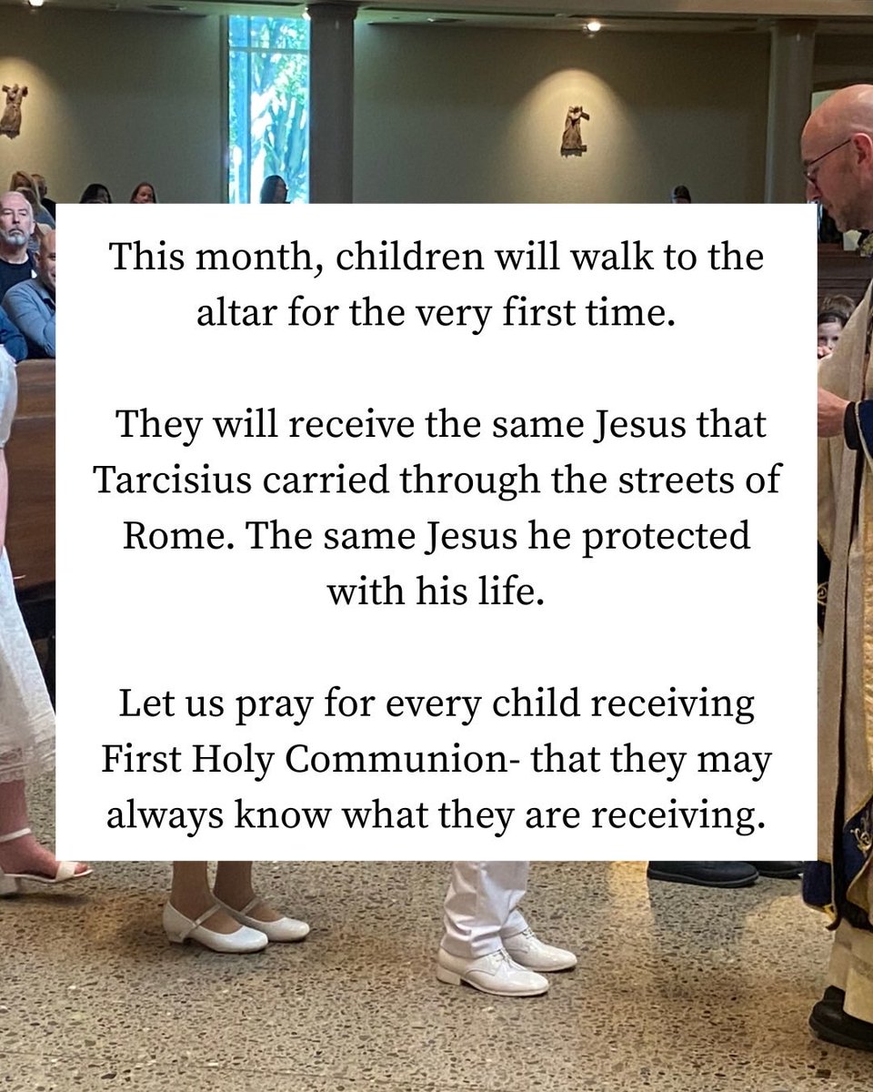 Holy Sea tweet media