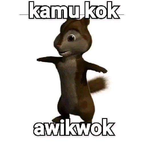 chand'y🦦 tweet media