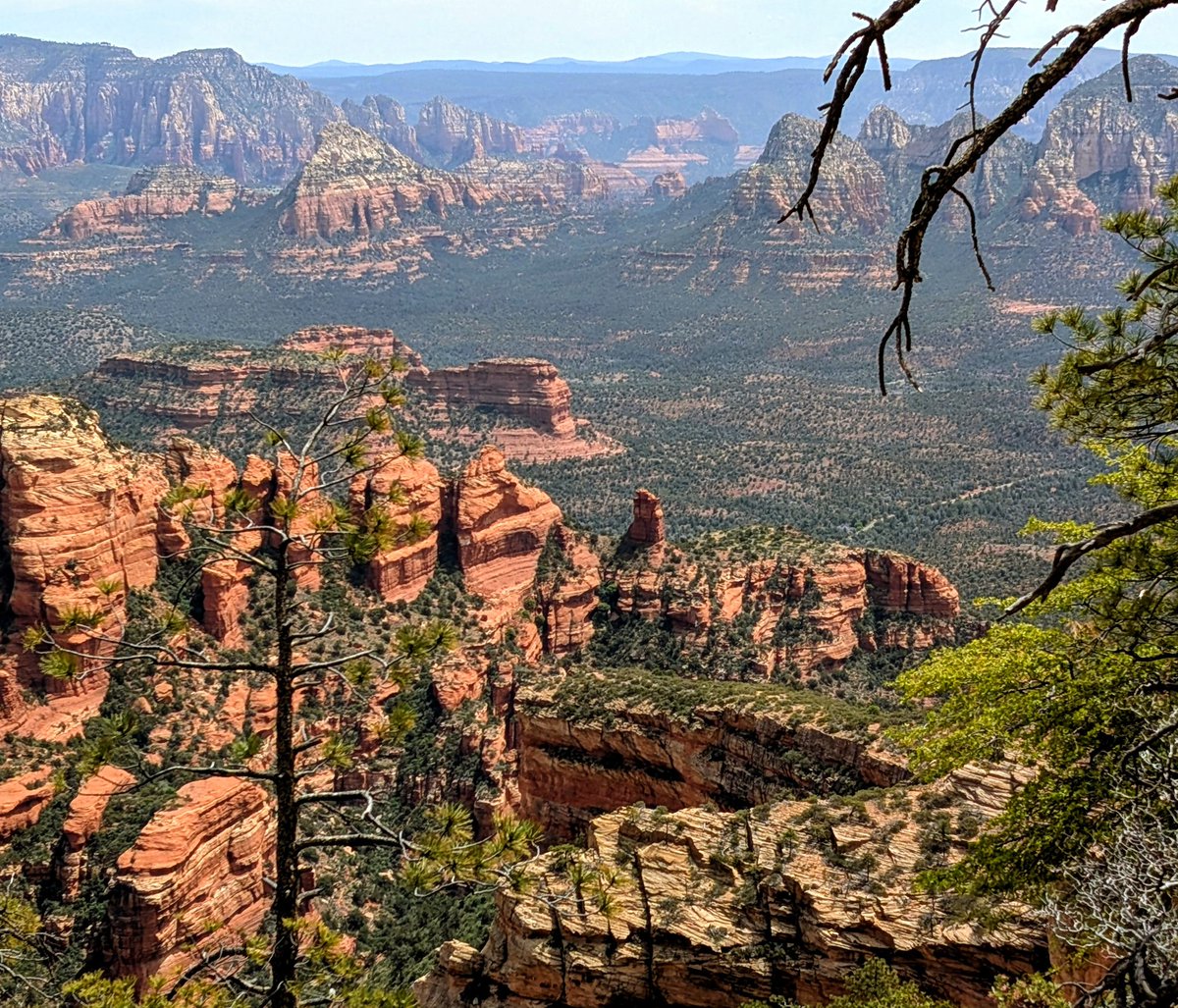 Bearnard2hu's tweet image. Somewhere in the Coconino. Near Sedona. #hiking