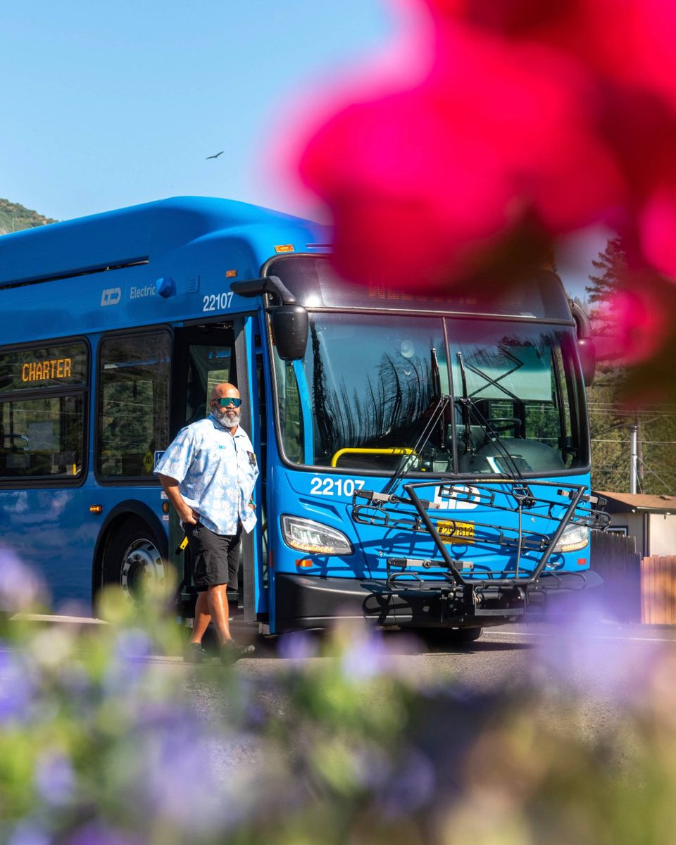 Lane Transit District (LTD) tweet media