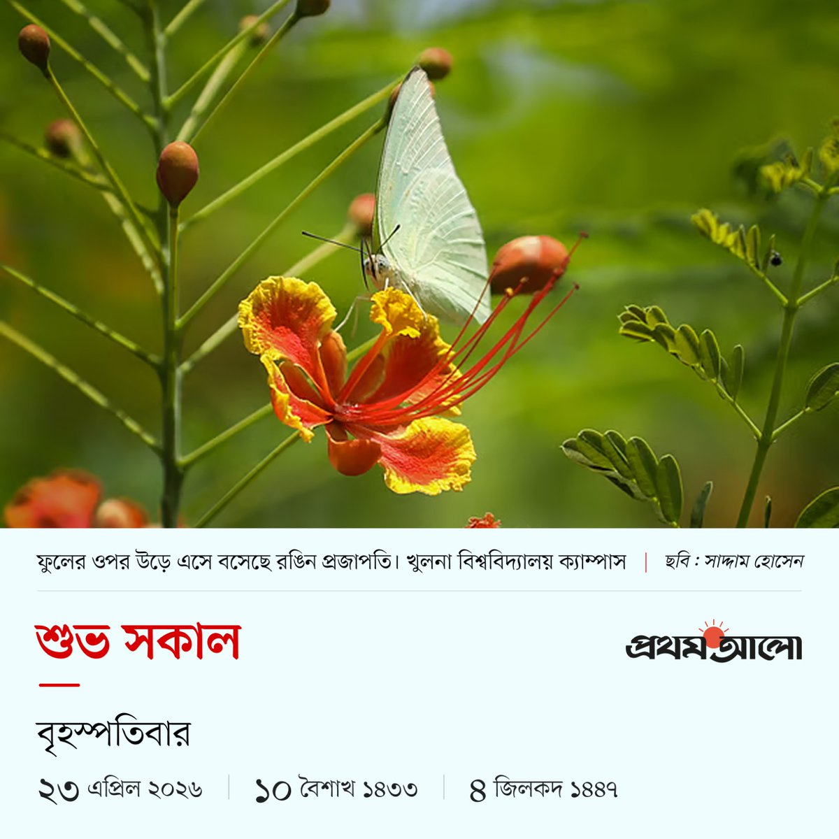 Prothom Alo (@ProthomAlo) on X