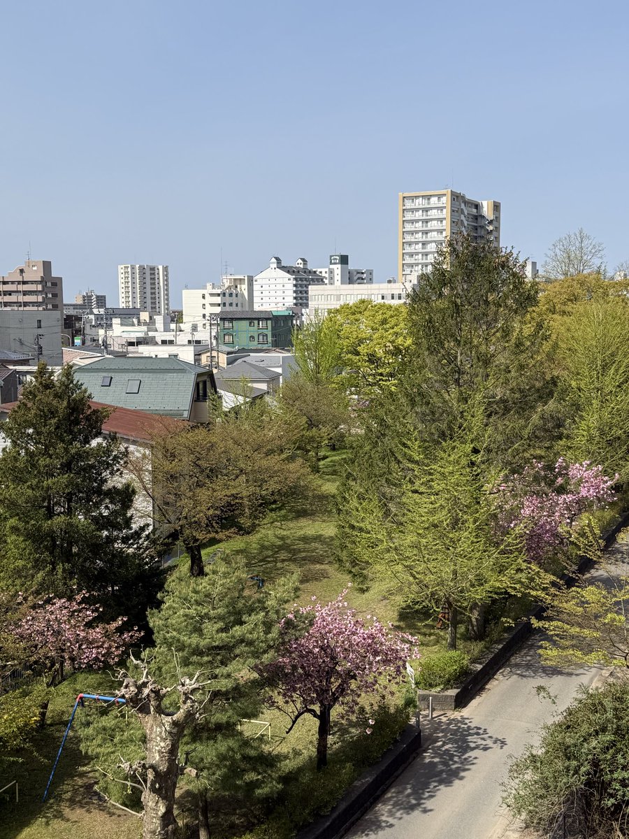 behappy210801's tweet photo. おはようございます。
朝はまだまだ肌寒い秋田市です☀️
裏の公園には八重桜が咲いてきました。
満開には早いようですが花の色が濃くて可愛らしいですね😊
雨降るなよー😓w

#就労継続支援B型　#パソコン https://t.co/iCKyzAc5Q8