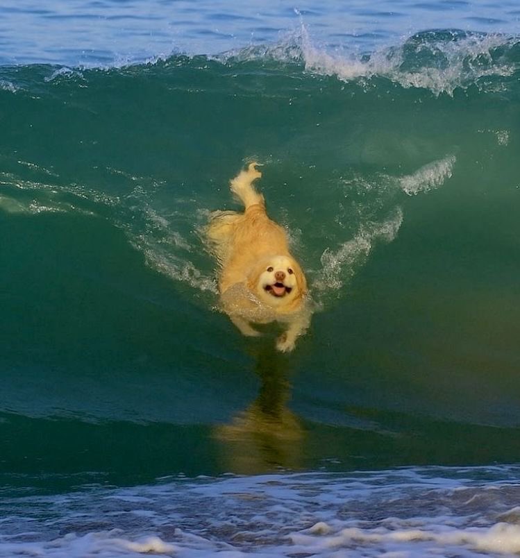 this acc will make u happy tweet media