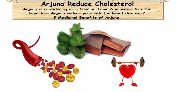 healthyojas's tweet image. What is Arjuna? How does it reduce high cholesterol? buff.ly/DwCFMpm #Cholesterol #Herb #Arjuna