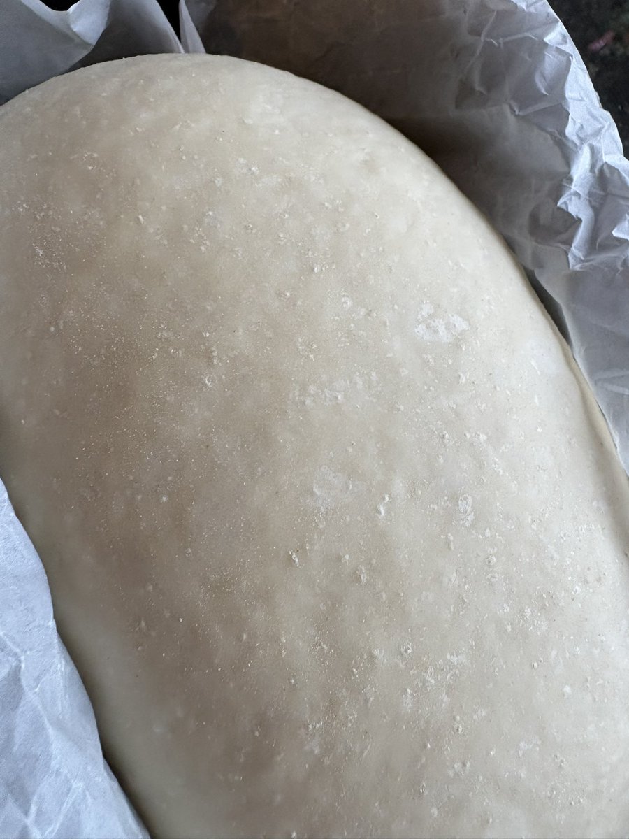 r ˚⟡˖ ࣪ tweet media