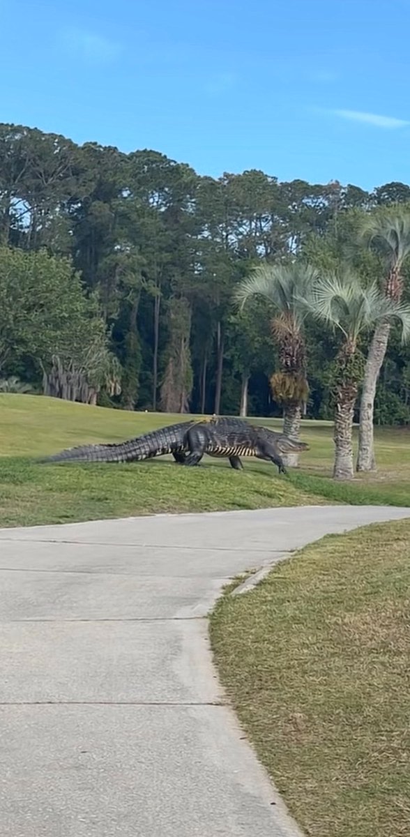 #HOBI via Weverse 

 미쳤어 ㄱㄱㄱㄱ