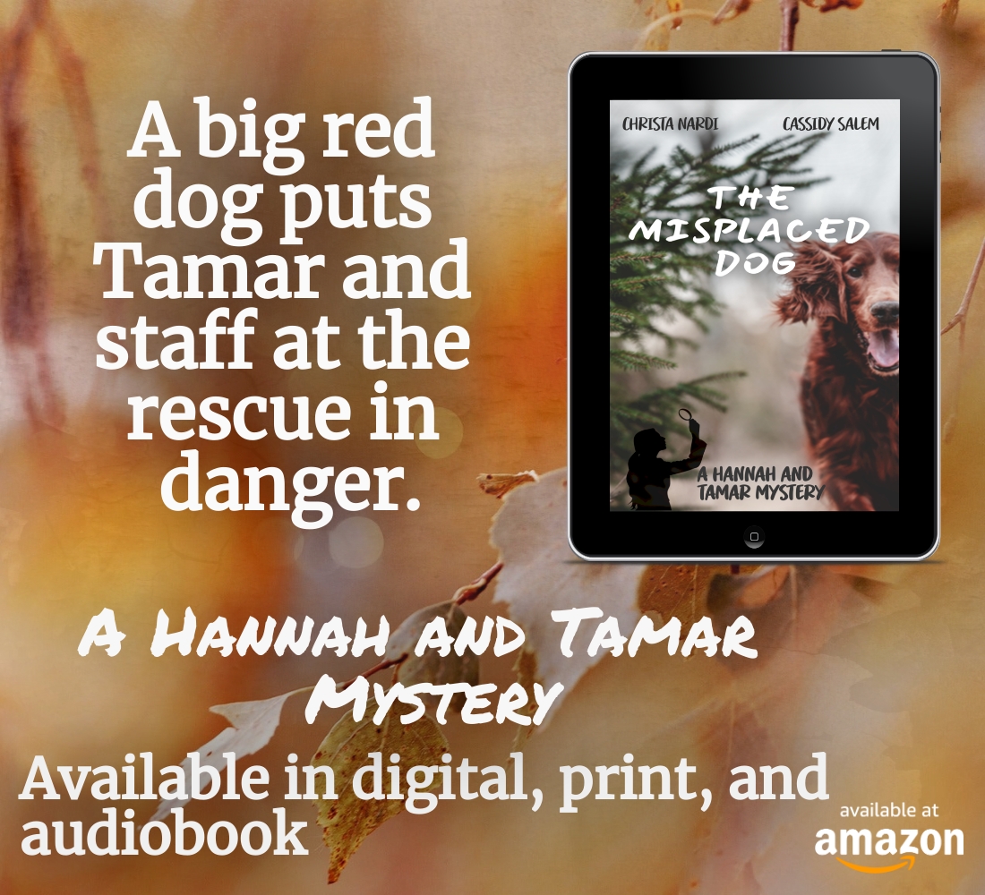 ChristaN7777's tweet image. Does your teen like #dogs and #mysteries? This book has both and teen sleuths. Family friendly, Nancy Drew style.
Available in eBook, paperback, and audiobook formats
books2read.com/MisplacedDog