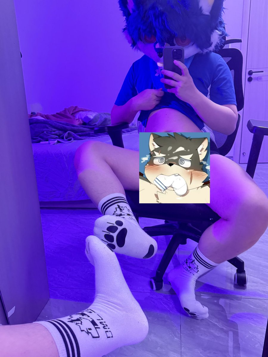 麟崽-LinZai tweet media