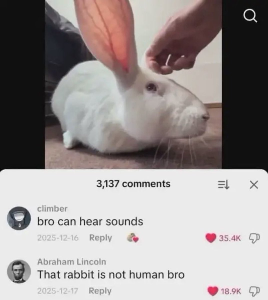 Memes I found shoved up my Ass tweet media